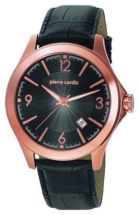 Wrist watch Pierre Cardin PC104871F08 for Men - picture, photo, image