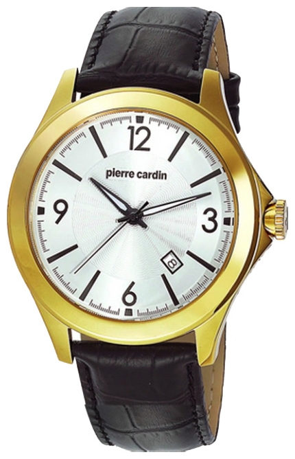 Wrist watch Pierre Cardin PC104871F09 for Men - picture, photo, image