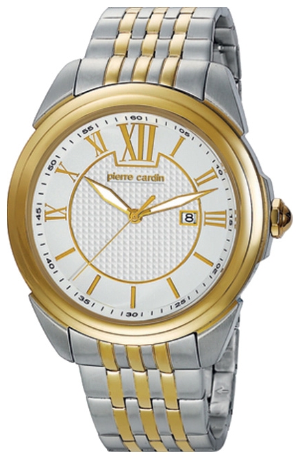 Wrist watch Pierre Cardin PC104891F02 for Men - picture, photo, image