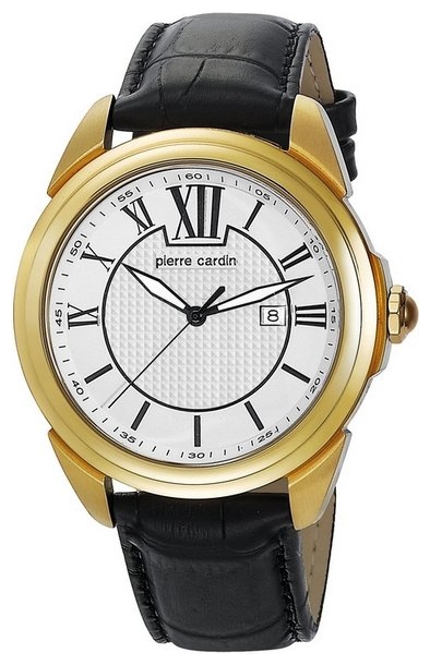 Wrist watch Pierre Cardin PC104891F06 for Men - picture, photo, image