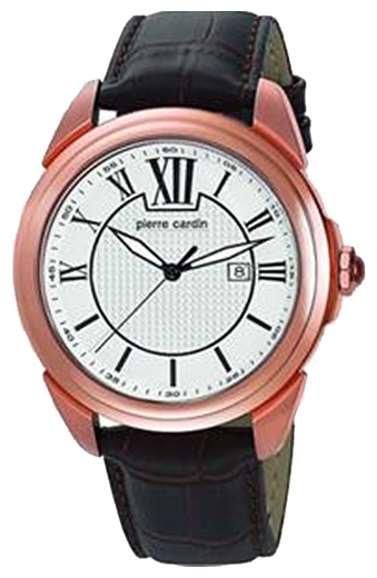 Wrist watch Pierre Cardin PC104891F07 for Men - picture, photo, image
