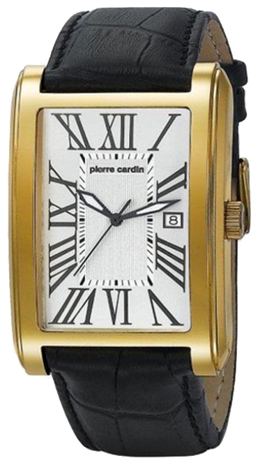 Wrist watch Pierre Cardin PC104911F02 for Men - picture, photo, image