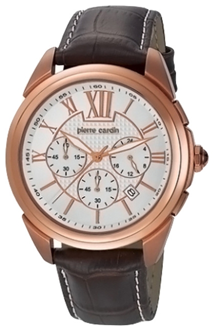 Wrist watch Pierre Cardin PC104931F08 for men - picture, photo, image