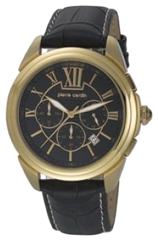 Wrist watch Pierre Cardin PC104931F09 for men - picture, photo, image