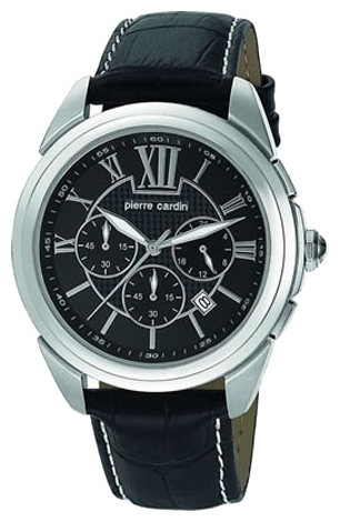 Wrist watch Pierre Cardin PC104931F10 for Men - picture, photo, image