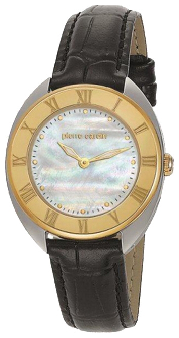 Wrist watch Pierre Cardin PC104972F08 for women - picture, photo, image