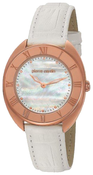 Wrist watch Pierre Cardin PC104972F09 for women - picture, photo, image