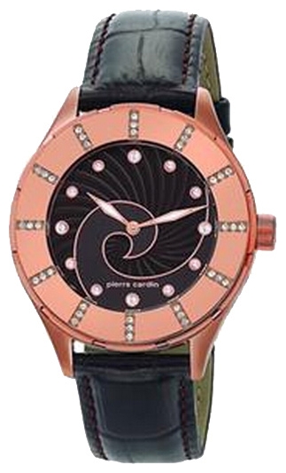 Wrist watch Pierre Cardin PC105112F06 for women - picture, photo, image
