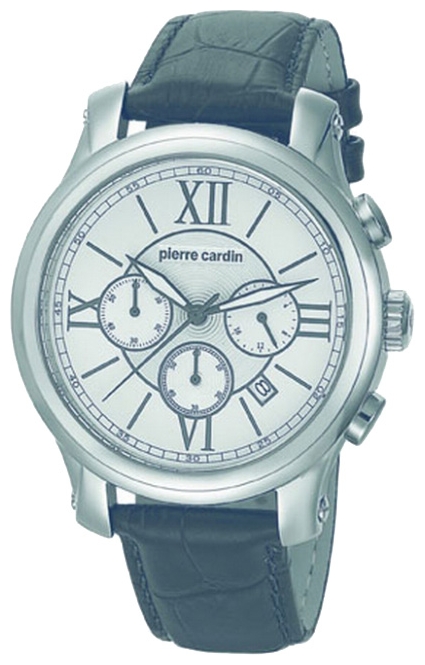 Wrist watch Pierre Cardin PC105151F06 for men - picture, photo, image