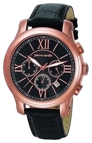 Wrist watch Pierre Cardin PC105151F07 for men - picture, photo, image