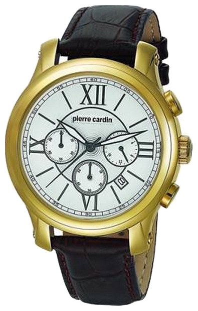 Wrist watch Pierre Cardin PC105151F09 for Men - picture, photo, image