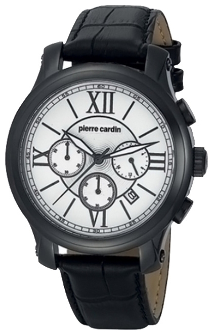 Wrist watch Pierre Cardin PC105151F10 for Men - picture, photo, image