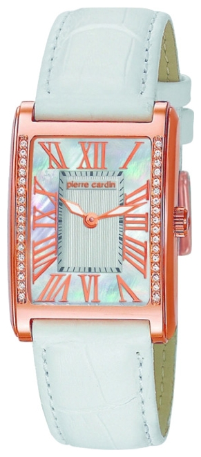 Wrist watch Pierre Cardin PC105172F01 for women - picture, photo, image