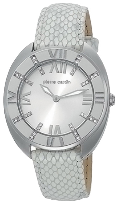 Wrist watch Pierre Cardin PC105272F01 for women - picture, photo, image