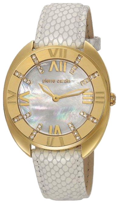 Wrist watch Pierre Cardin PC105272F06 for women - picture, photo, image