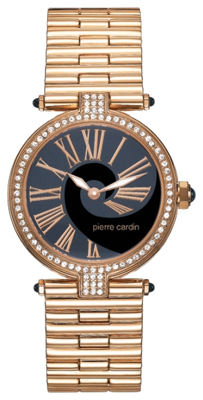 Wrist watch Pierre Cardin PC67582.4IR011 for women - picture, photo, image