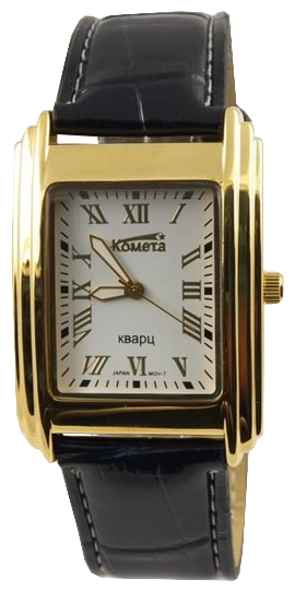 Wrist watch PULSAR Kometa 151 9941 for Men - picture, photo, image