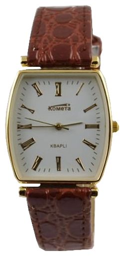 Wrist watch PULSAR Kometa 210 9761 for Men - picture, photo, image