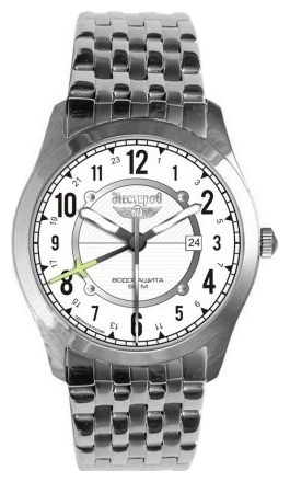 Wrist watch PULSAR Nesterov H095902-75A for Men - picture, photo, image