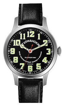 Wrist watch PULSAR SHturmanskie 1701702 for Men - picture, photo, image