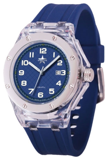 Wrist unisex watch PULSAR Specnaz S2728300-3208 - picture, photo, image