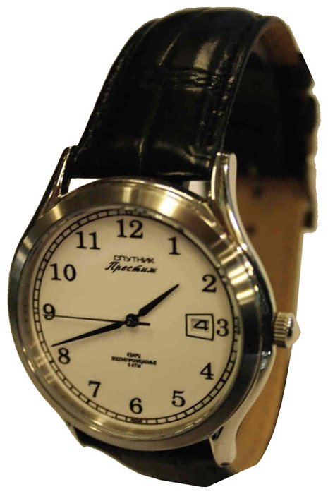 Wrist watch PULSAR Sputnik NM-1S954/1 bel. for Men - picture, photo, image