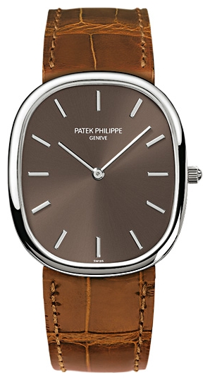 PULSAR Patek Philippe 3738-100G pictures