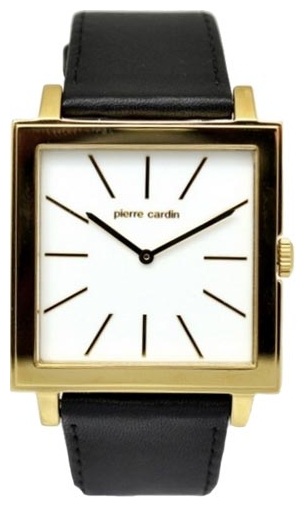 Wrist watch PULSAR Pierre Cardin PC105351F03 for Men - picture, photo, image