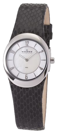 Wrist watch PULSAR Skagen 564XSSLB8 for women - picture, photo, image