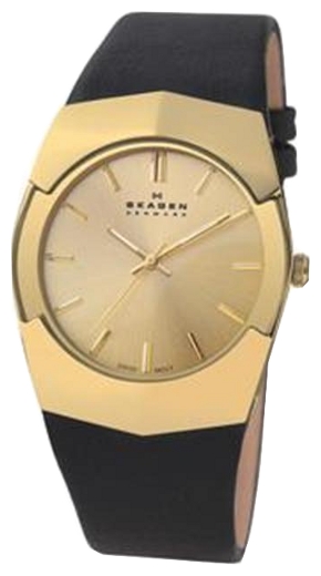 Wrist watch PULSAR Skagen 580XLGLB for Men - picture, photo, image