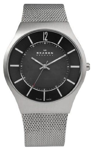 Wrist watch PULSAR Skagen 833XLSSB1 for Men - picture, photo, image