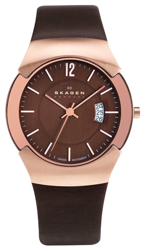Wrist watch PULSAR Skagen 981XLRLD for Men - picture, photo, image