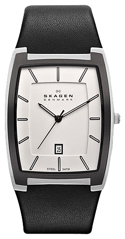 Wrist watch PULSAR Skagen SKW6003 for Men - picture, photo, image