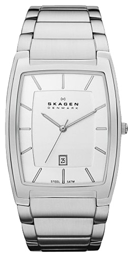 Wrist watch PULSAR Skagen SKW6005 for Men - picture, photo, image