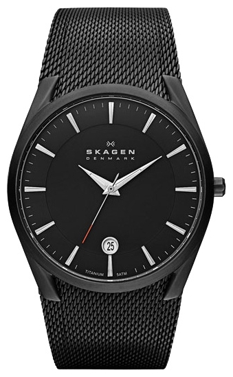 Wrist watch PULSAR Skagen SKW6009 for Men - picture, photo, image