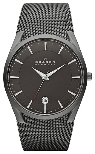 Wrist watch PULSAR Skagen SKW6010 for Men - picture, photo, image