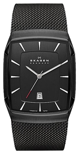 Wrist watch PULSAR Skagen SKW6011 for Men - picture, photo, image