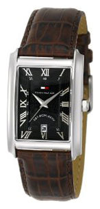 Wrist watch PULSAR Tommy Hilfiger 1710127 for Men - picture, photo, image