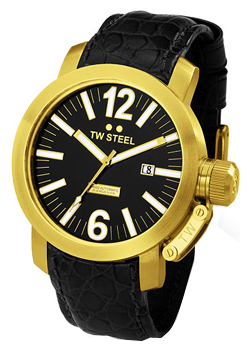 Wrist watch PULSAR TW Steel TWA96 for men - picture, photo, image