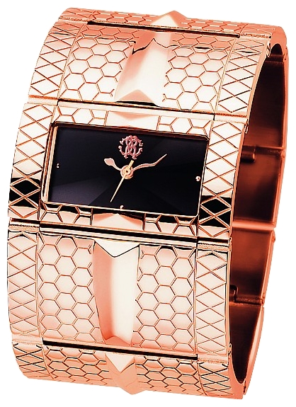 Wrist watch Roberto Cavalli 7253 272 715 for women - picture, photo, image