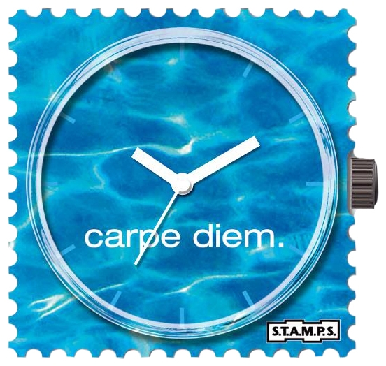 Wrist unisex watch S.T.A.M.P.S. Seize The Day - picture, photo, image