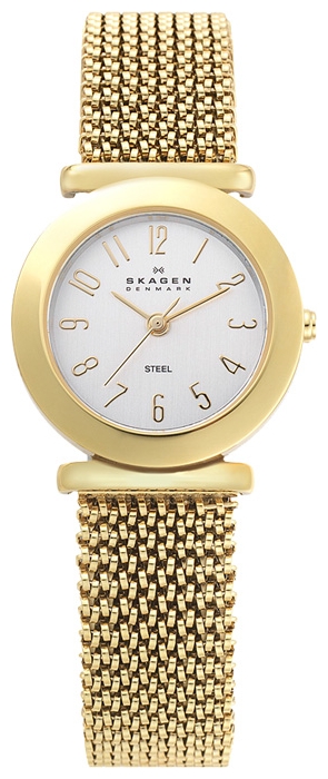 Wrist watch Skagen 107SGG1 for women - picture, photo, image