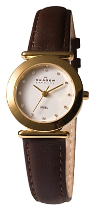 Wrist watch Skagen 107SGLD for women - picture, photo, image
