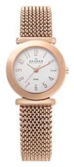 Wrist watch Skagen 107SRR1 for women - picture, photo, image