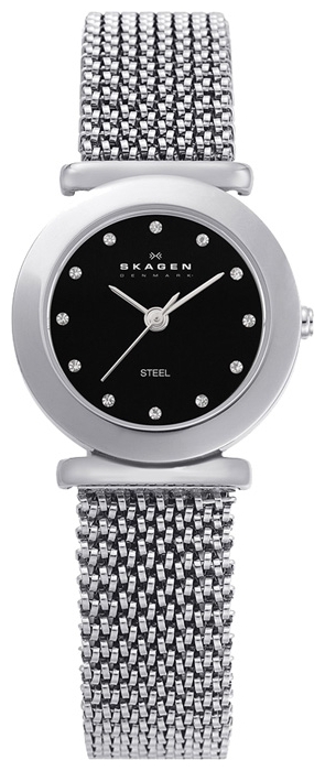 Wrist watch Skagen 107SSSB1 for women - picture, photo, image