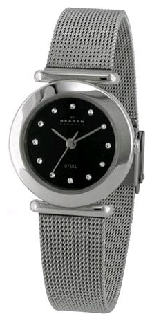 Wrist watch Skagen 107SSSBD for women - picture, photo, image