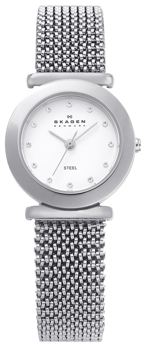 Wrist watch Skagen 107SSSS1 for women - picture, photo, image