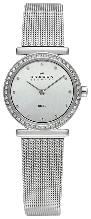 Wrist watch Skagen 108SSS1 for women - picture, photo, image