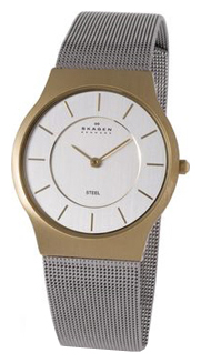 Wrist watch Skagen 233LGS for men - picture, photo, image