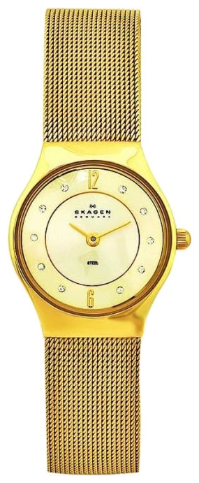 Wrist watch Skagen 233XSGGG for women - picture, photo, image